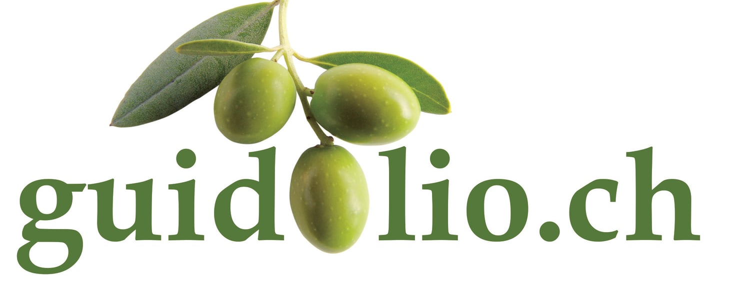 Logo Guidolio mit Feindaten Bild